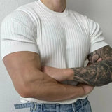 Men T-Shirts Summer Casual Fashion Quick-Drying Elastic Short Sleeve Gym Sports Fitness Bottoming Shirt Vertical Stripe T-Shirt