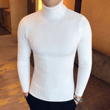 Brand Men Turtleneck Sweaters and Pullovers  Fashion Knitted Sweater Winter Men Pullover Homme Wool Casual Solid Clothes