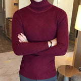 Brand Men Turtleneck Sweaters and Pullovers  Fashion Knitted Sweater Winter Men Pullover Homme Wool Casual Solid Clothes